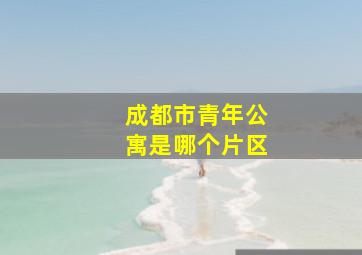 成都市青年公寓是哪个片区