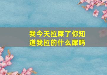 我今天拉屎了你知道我拉的什么屎吗