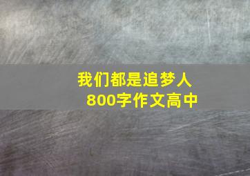 我们都是追梦人800字作文高中