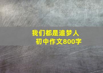 我们都是追梦人初中作文800字