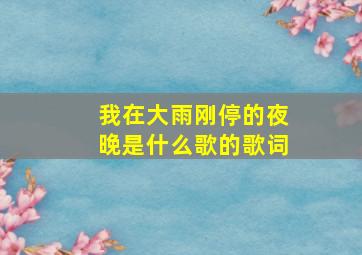 我在大雨刚停的夜晚是什么歌的歌词