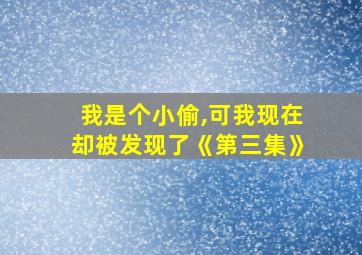 我是个小偷,可我现在却被发现了《第三集》