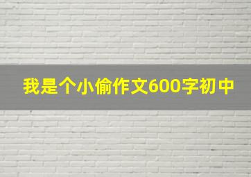 我是个小偷作文600字初中