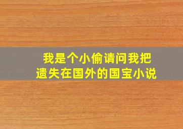 我是个小偷请问我把遗失在国外的国宝小说