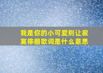 我是你的小可爱别让寂寞徘徊歌词是什么意思