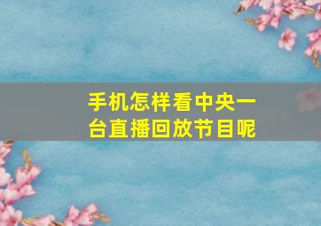 手机怎样看中央一台直播回放节目呢