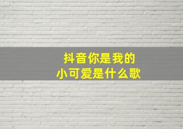 抖音你是我的小可爱是什么歌