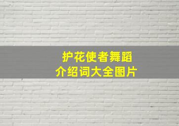 护花使者舞蹈介绍词大全图片