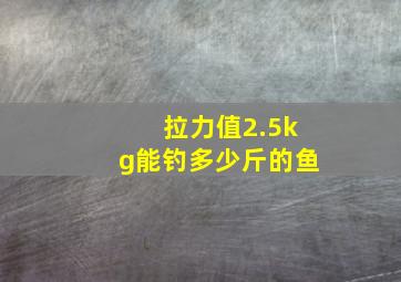 拉力值2.5kg能钓多少斤的鱼