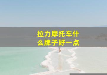 拉力摩托车什么牌子好一点