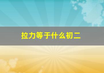 拉力等于什么初二