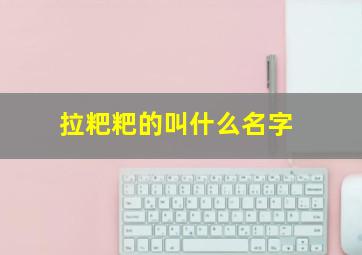 拉粑粑的叫什么名字