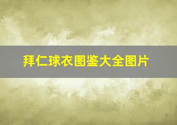 拜仁球衣图鉴大全图片