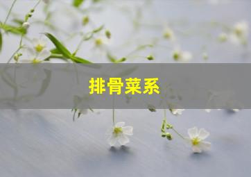 排骨菜系