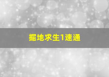 掘地求生1速通