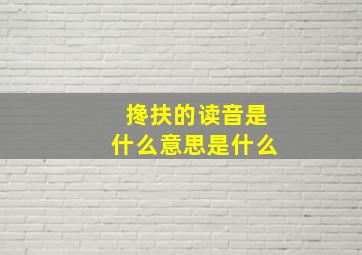 搀扶的读音是什么意思是什么