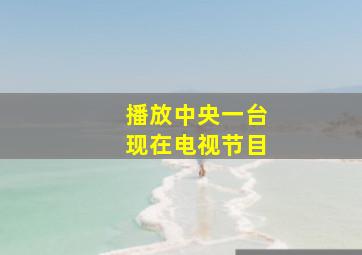 播放中央一台现在电视节目