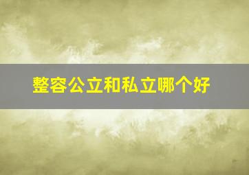 整容公立和私立哪个好