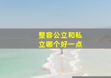 整容公立和私立哪个好一点