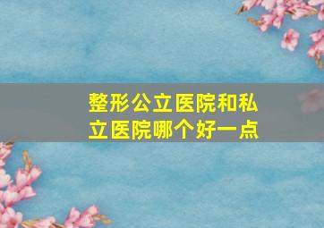 整形公立医院和私立医院哪个好一点