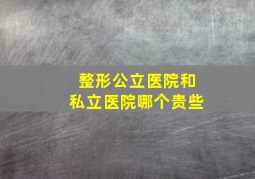 整形公立医院和私立医院哪个贵些