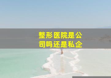 整形医院是公司吗还是私企