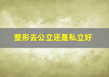 整形去公立还是私立好