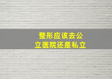 整形应该去公立医院还是私立