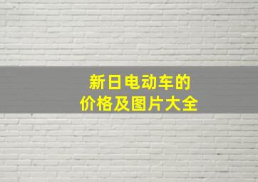 新日电动车的价格及图片大全