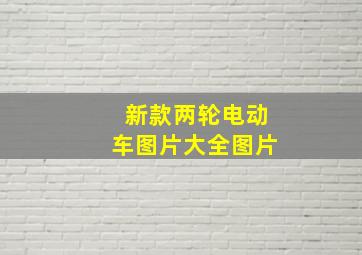 新款两轮电动车图片大全图片