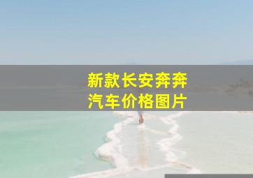 新款长安奔奔汽车价格图片