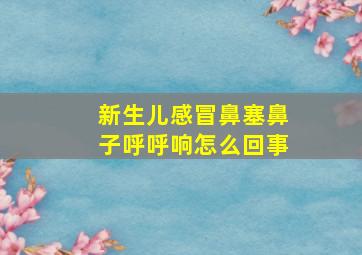 新生儿感冒鼻塞鼻子呼呼响怎么回事