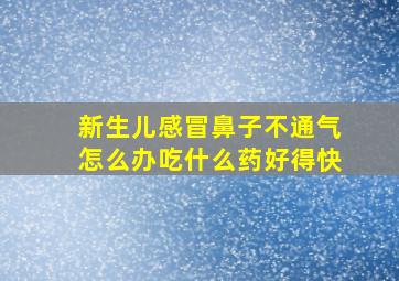 新生儿感冒鼻子不通气怎么办吃什么药好得快