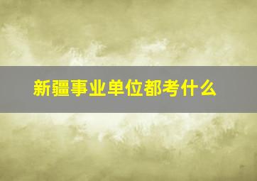 新疆事业单位都考什么