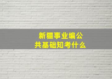 新疆事业编公共基础知考什么