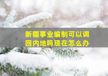 新疆事业编制可以调回内地吗现在怎么办