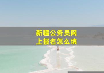 新疆公务员网上报名怎么填