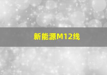 新能源M12线