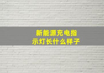 新能源充电指示灯长什么样子