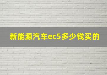 新能源汽车ec5多少钱买的