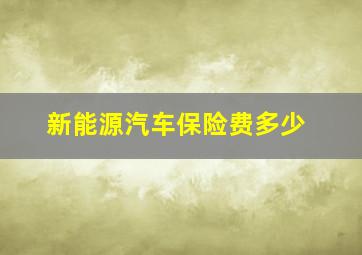 新能源汽车保险费多少