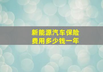 新能源汽车保险费用多少钱一年