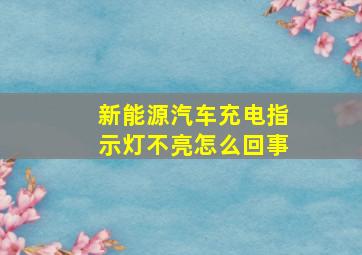 新能源汽车充电指示灯不亮怎么回事