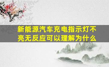 新能源汽车充电指示灯不亮无反应可以理解为什么