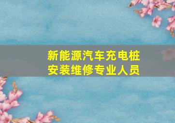 新能源汽车充电桩安装维修专业人员