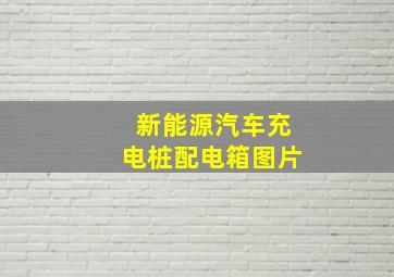 新能源汽车充电桩配电箱图片