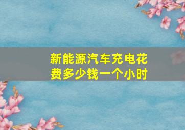 新能源汽车充电花费多少钱一个小时