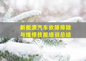 新能源汽车故障排除与维修技能培训总结