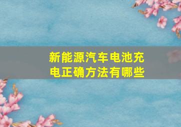 新能源汽车电池充电正确方法有哪些