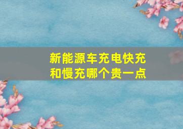 新能源车充电快充和慢充哪个贵一点